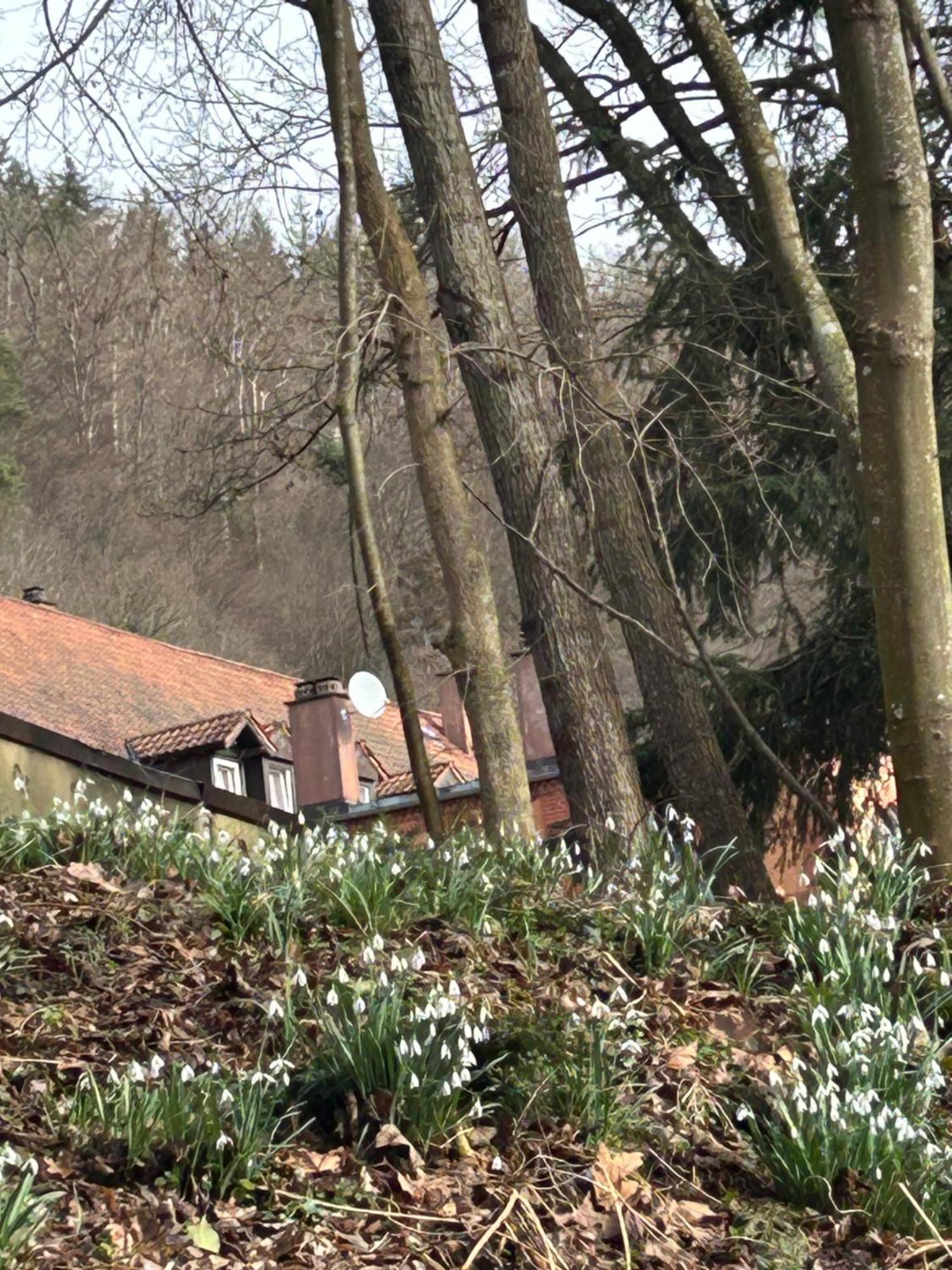 Villa Am Fluss Pforzheim Exterior foto