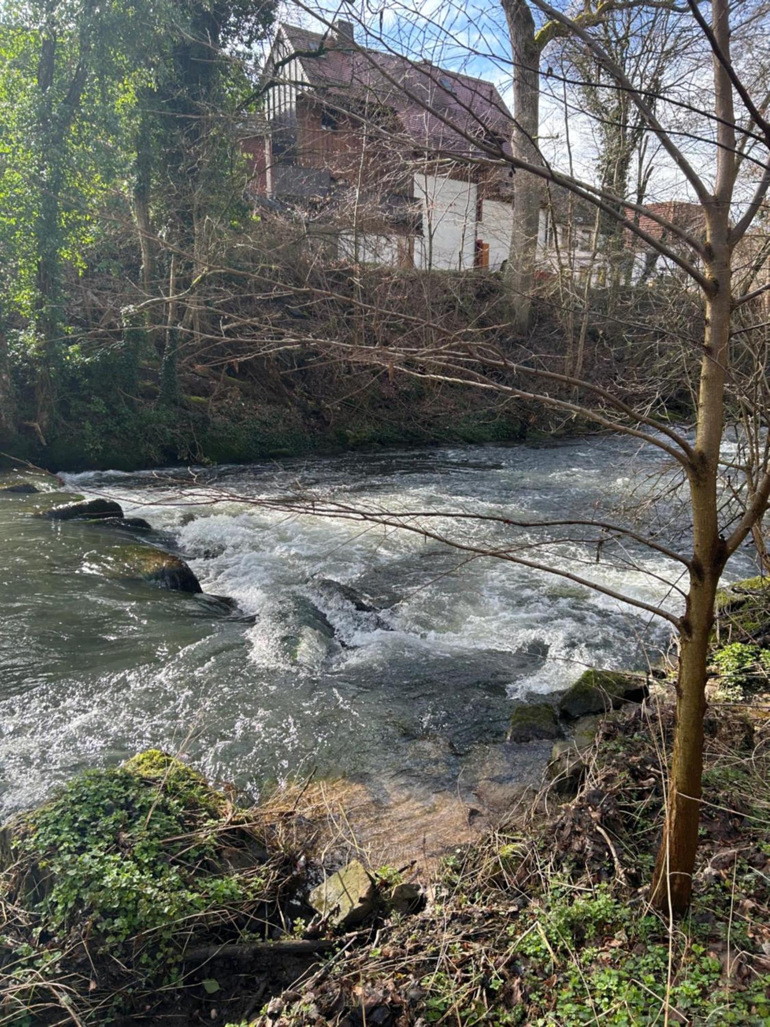 Villa Am Fluss Pforzheim Exterior foto