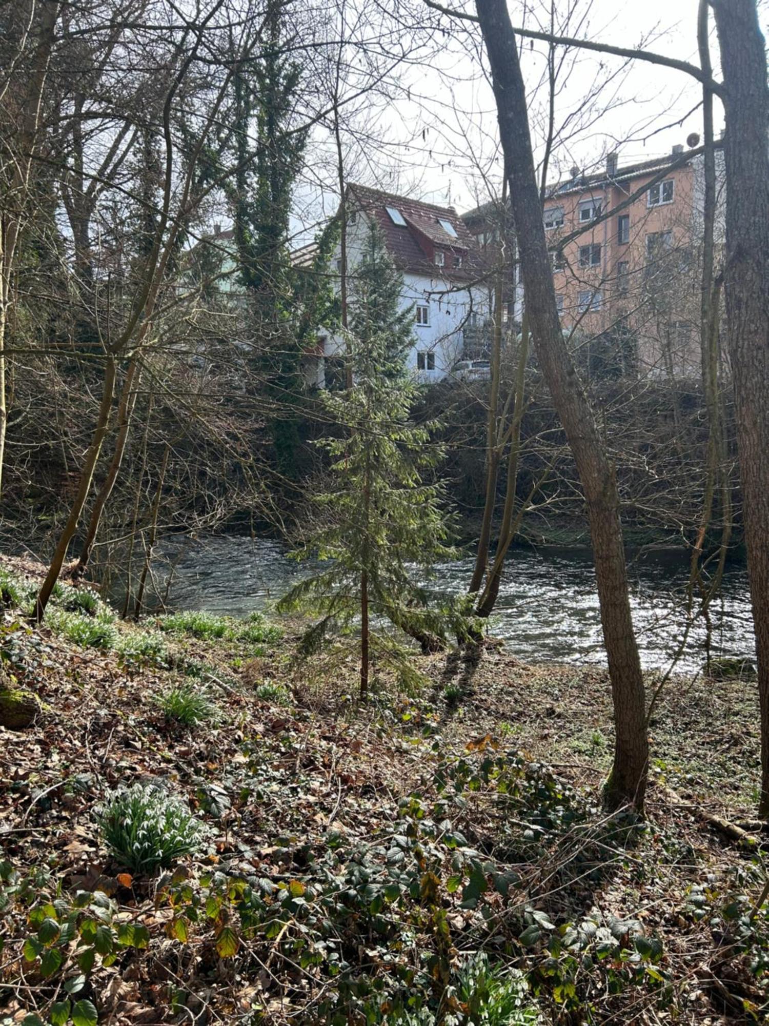 Villa Am Fluss Pforzheim Exterior foto